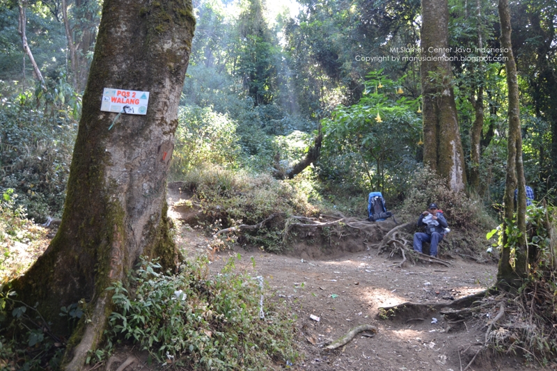 Pendakian Gunung Slamet 3 428 Mdpl Via Bambangan Manusia Lembah