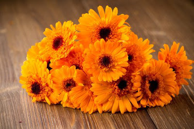 L'huile de Calendula L'huile de Calendula