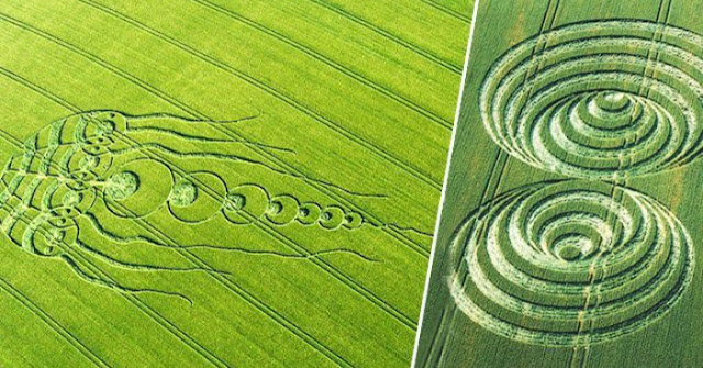 Những suy đoán cho nguồn gốc "vòng tròn kỳ lạ" trên cánh đồng nước Anh