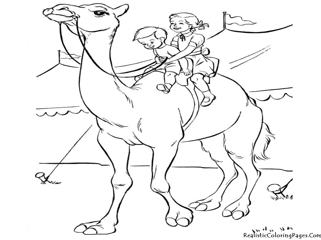 camel pages for coloring - photo #50