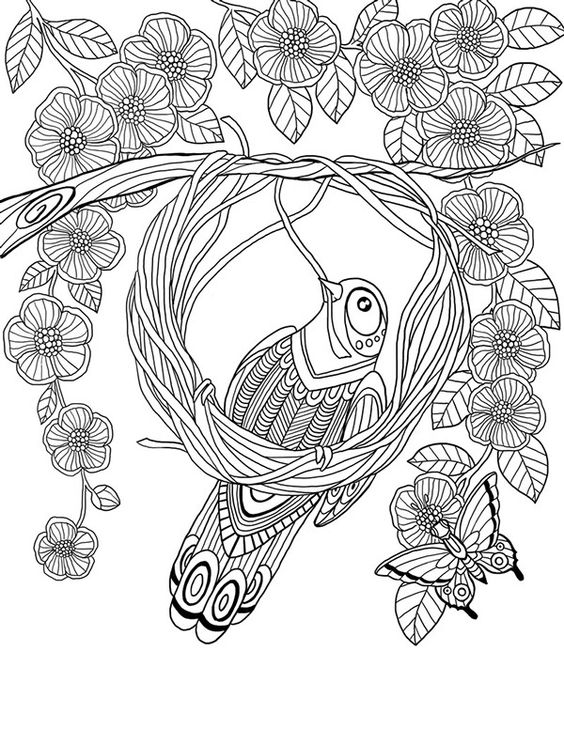 Fichas de Primaria: Dibujos para colorear