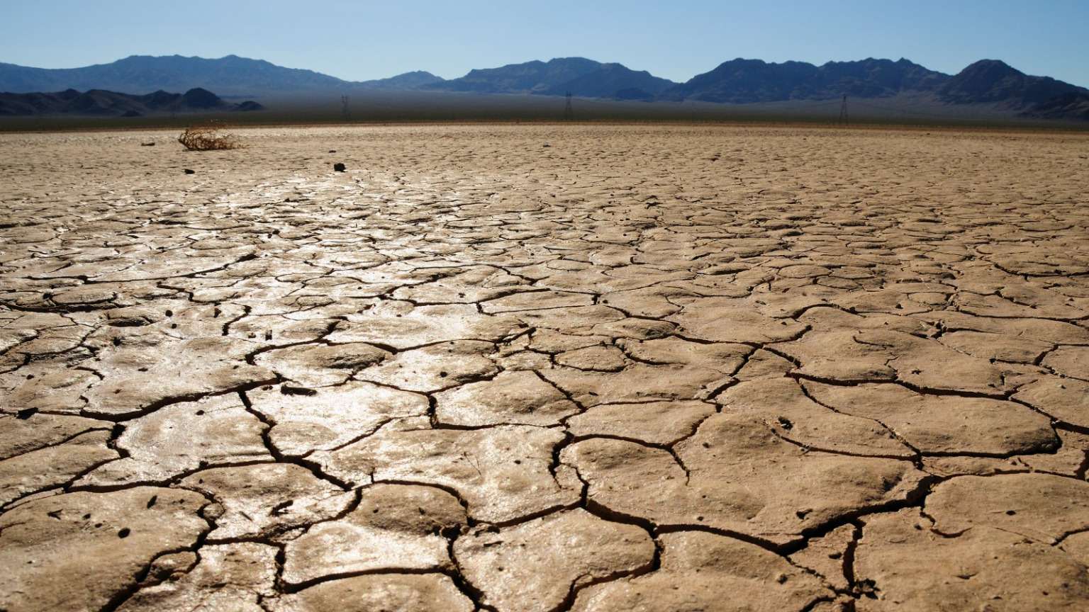 Seemorerocks: Global drought