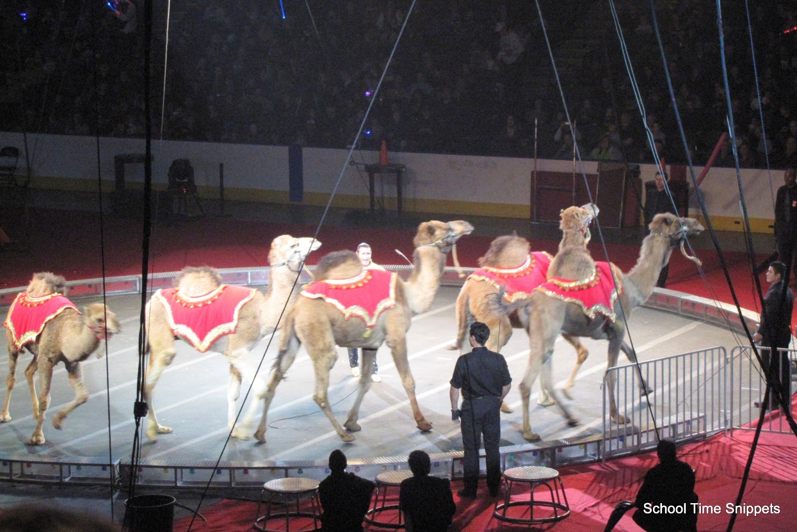 Homeschooling with Five in a Row: Andy and the Lion | School Time Snippets