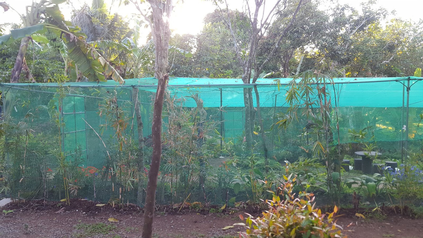 Reptiland Adventure Tagaytay Side Trip Part II Casita del Rose