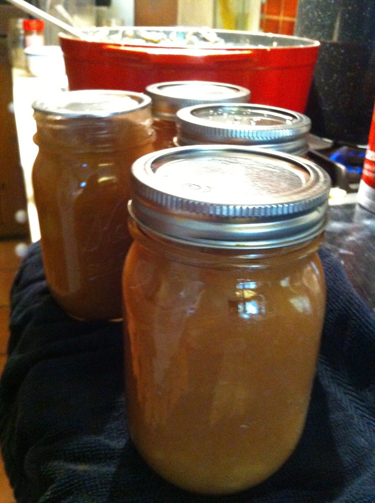 Becky's Blog Tutorial for Canning Applesauce