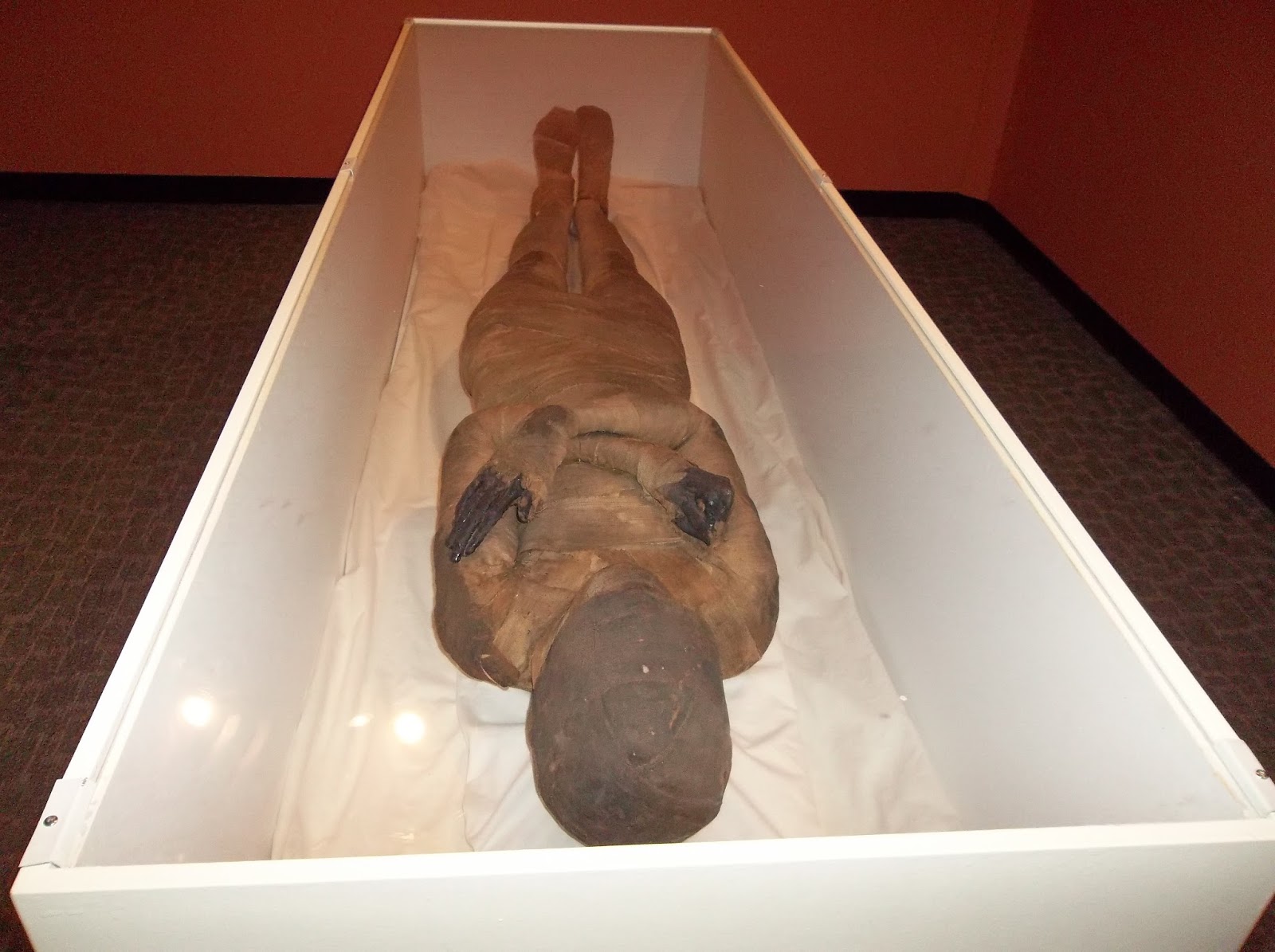 Travels of a Hobgoblin Taphophile (Mummy) Ohio History Center