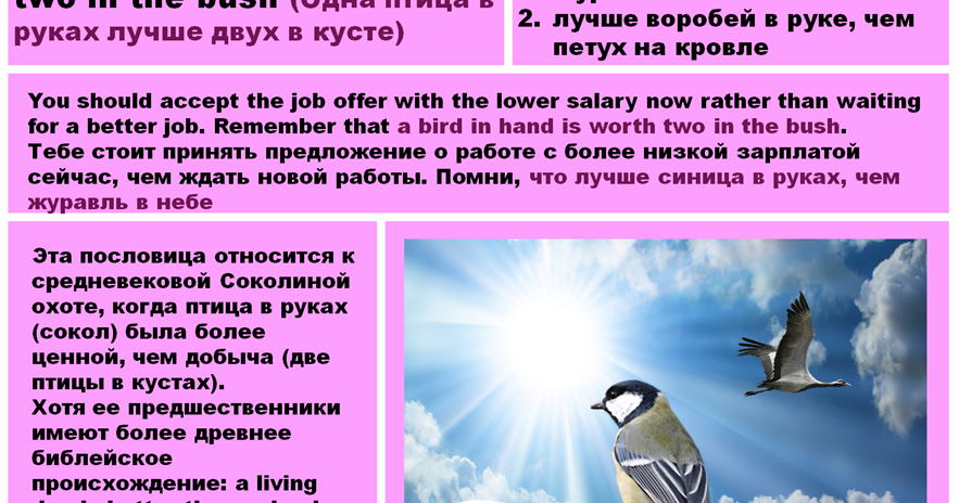 Птичка на руке. For the birds идиома. Птица на ладони. A bird in the hand is worth two in the bush русский эквивалент. Птицы ладошками.