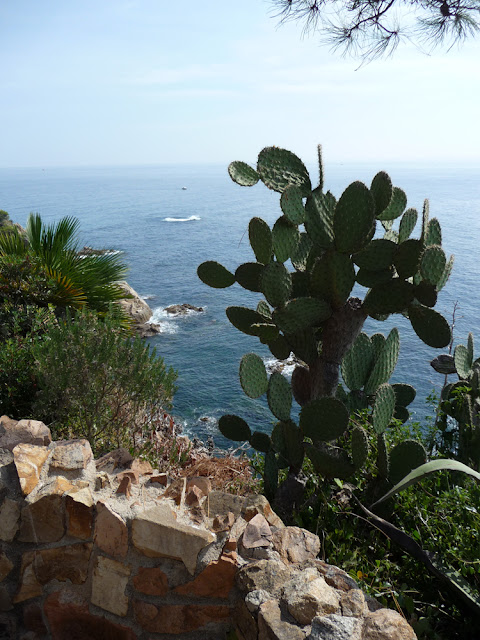 Вид на Средиземное море с верхней террасы ботанического сада Маримуртра в Бланесе