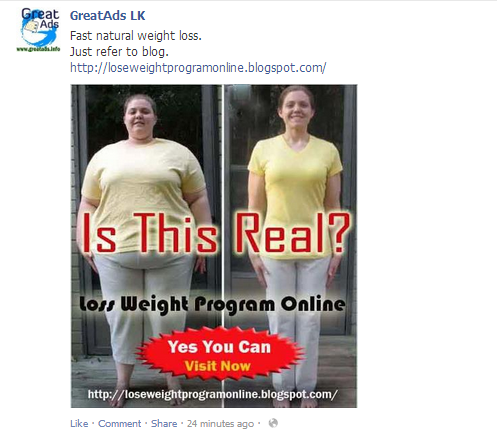 Lose weight program online 