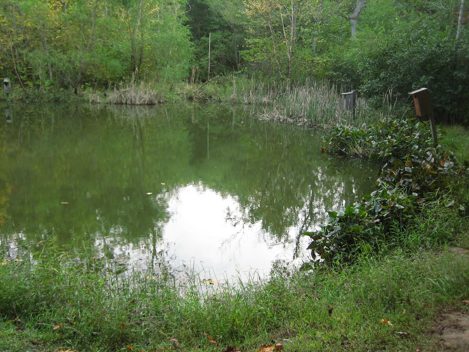 Photo Venue Sloan Park Mt. Ulla, NC