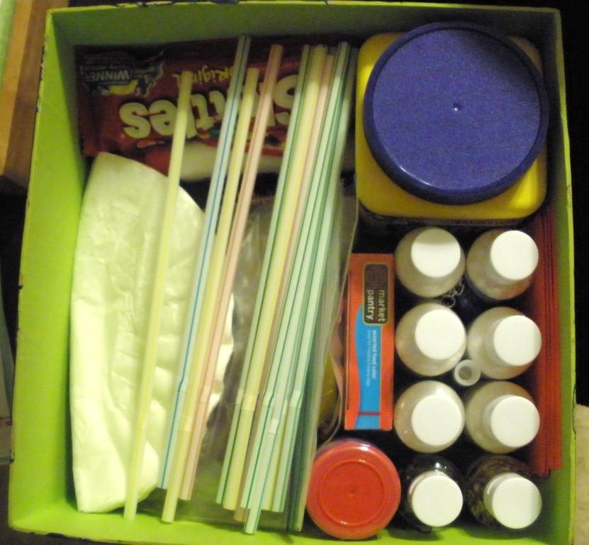 Stitches and SNPs DIY Kid's Science Kit (with Download)