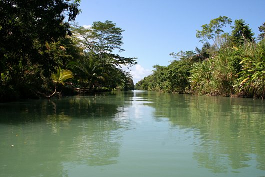 Tortuguero tamcostarica Addicted 2 Travel And Adventure: Tortuguero National Park, Costa Rica