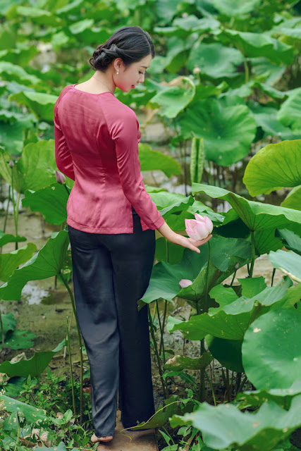 Lotus flowers - West Lake udic - Pink Lotus, Lotus In West Lake – A Hanoi Symbol