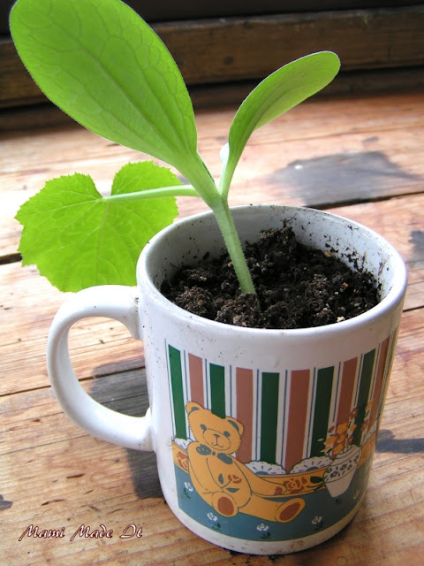 New Task For Your Coffee Pot - Neue Aufgabe für deine Kaffeetasse