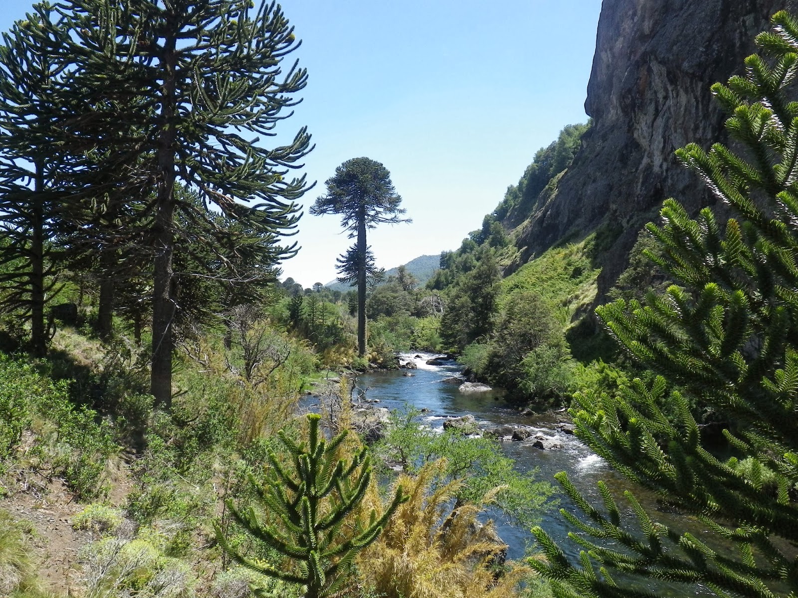 First Cast Fly Fishing Fly Fishing Patagonia Argentina WalkWade and Float Trips