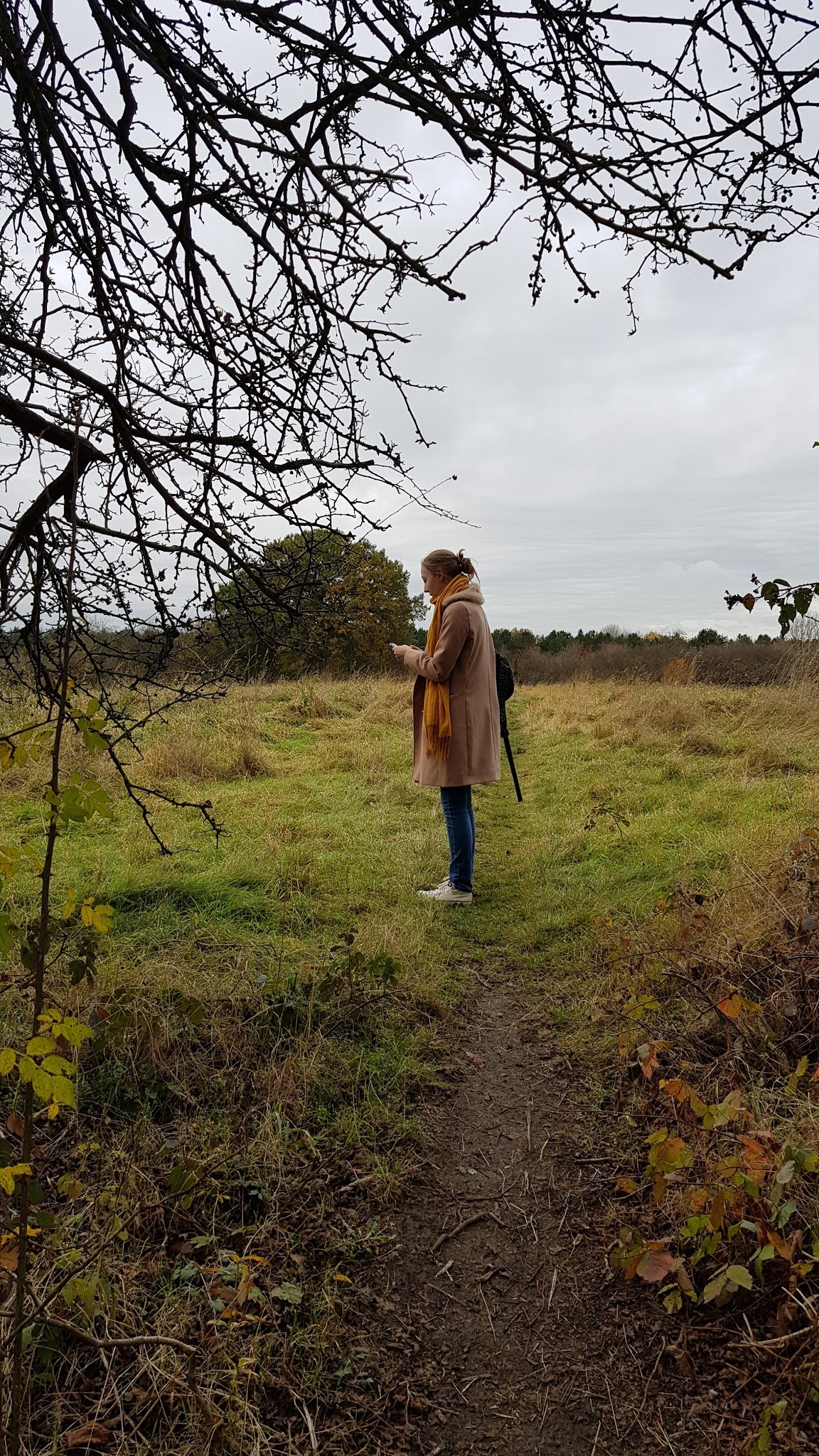 Media studies picture