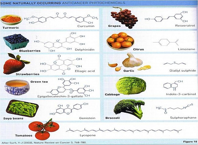 Naturally Occurring Chemicals In Food Naturally Occurring Chemicals In Food