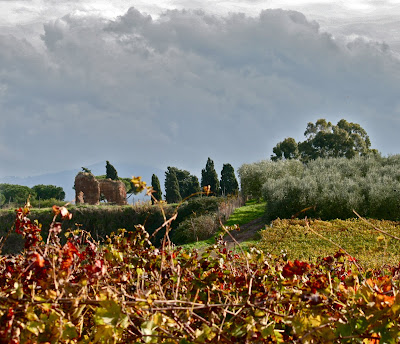 vigneti lazio malvasia puntinata