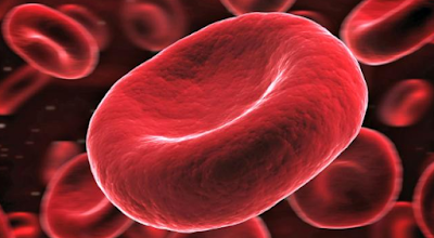 Sel Darah Merah, Sel Darah Putih dan Keping Darah