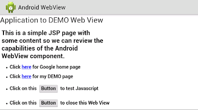 Android WebView Example
