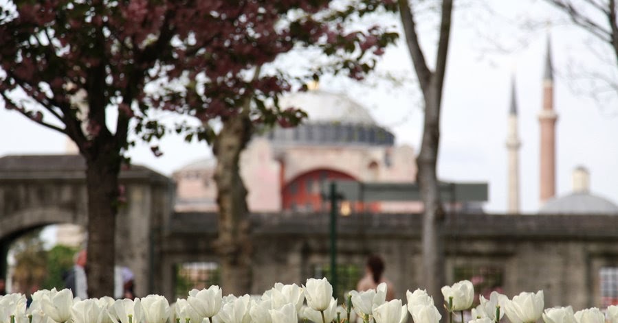 Kata Kata Mutiara Bijak Dalam Bahasa Turki Beserta Arti Dan