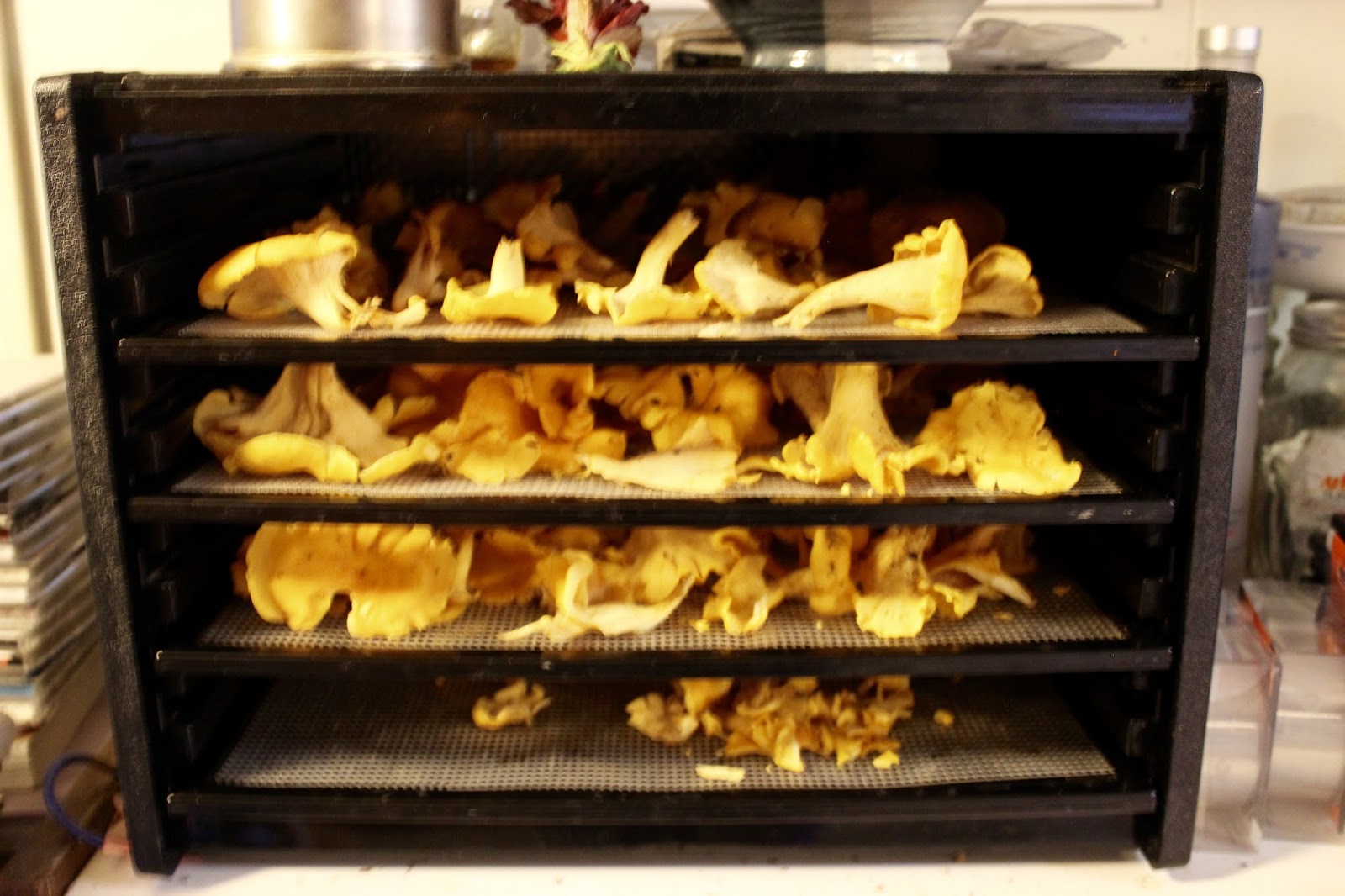 How to Dehydrate Mushrooms
