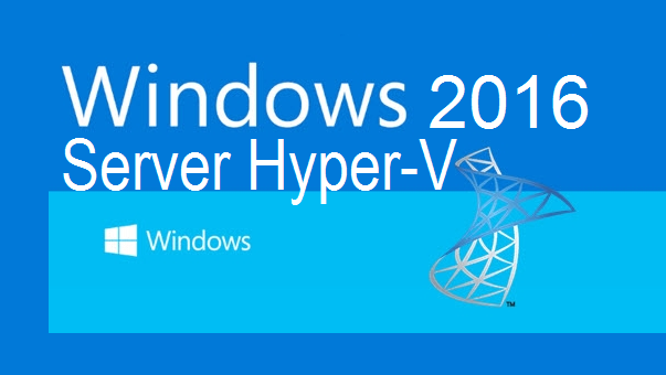 Windows Windows