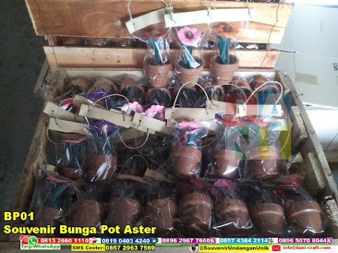 jual Souvenir Bunga Pot Aster