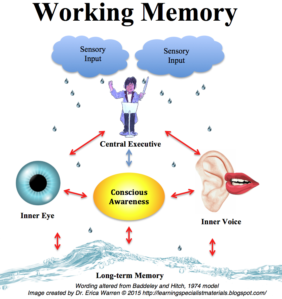 dissertation working memory