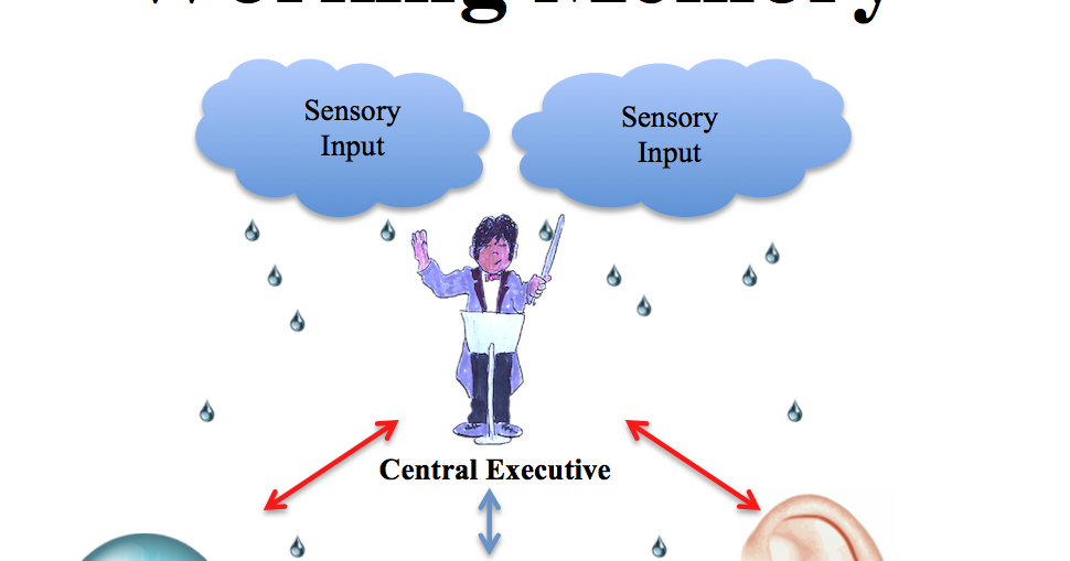 Working Memory Definition, Facts, Symptoms and Strategies Infographic