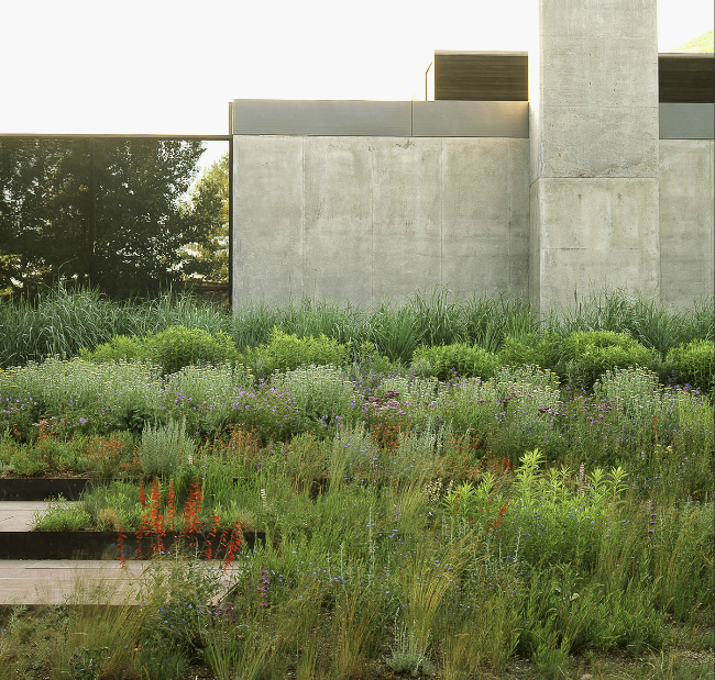 ARAÑAZOS EN EL CIELO: Paisajismo a favor del paisaje