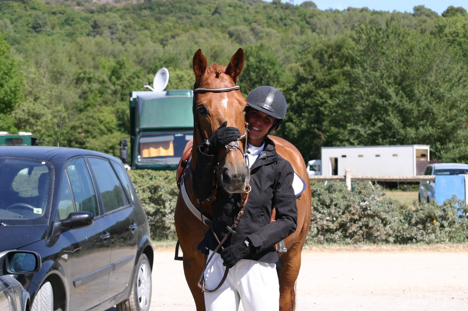 Écuries du Sud à Aix-en-Provence|Pension chevaux|Centre Équestre|Club