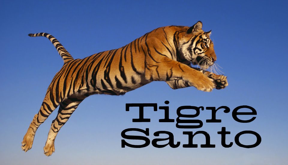 Tigre Santo: Week Thirty Five