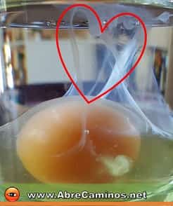 Figura de un corazón aparece al hacer una Limpia con Huevo
