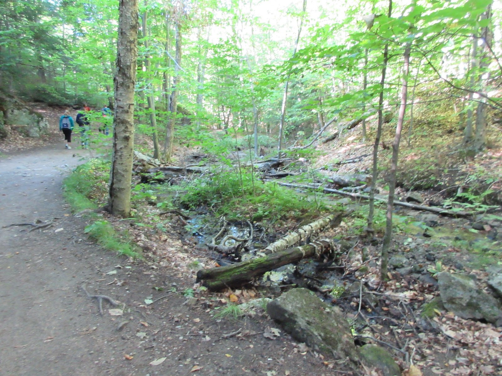 Marlene's Space Hiking in Gatineau Park