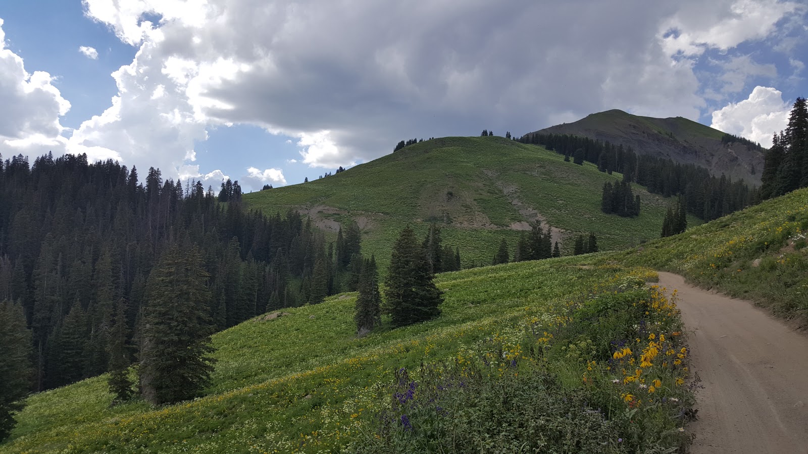 Carl's Jeeping Trips Lead King Basin