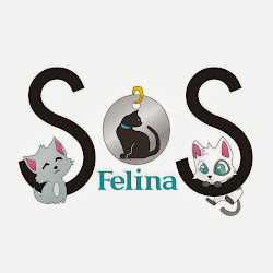 SOS Felina Grupo Teaming