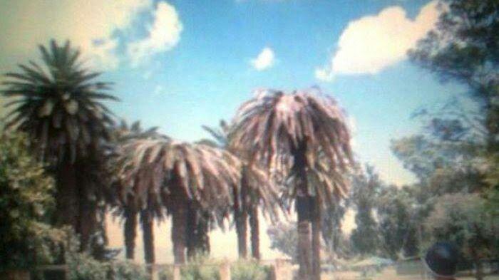 Serly Widia S Blog Kurma Baisan Danau Tiberias Dan Mata Air Zughar Yang Merupakan Tandatanda Kedatangan Dajjal