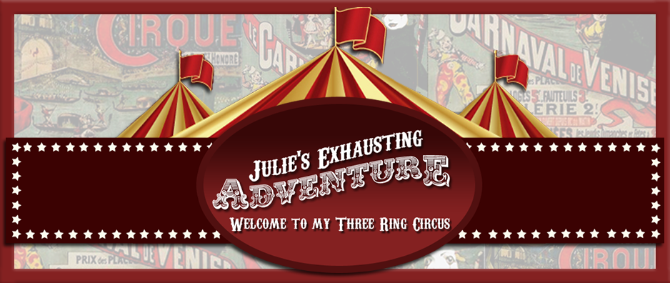 Julie's Exhausting Adventure