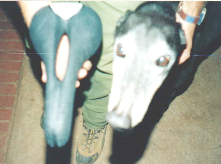 A Year of Centuries April 2013