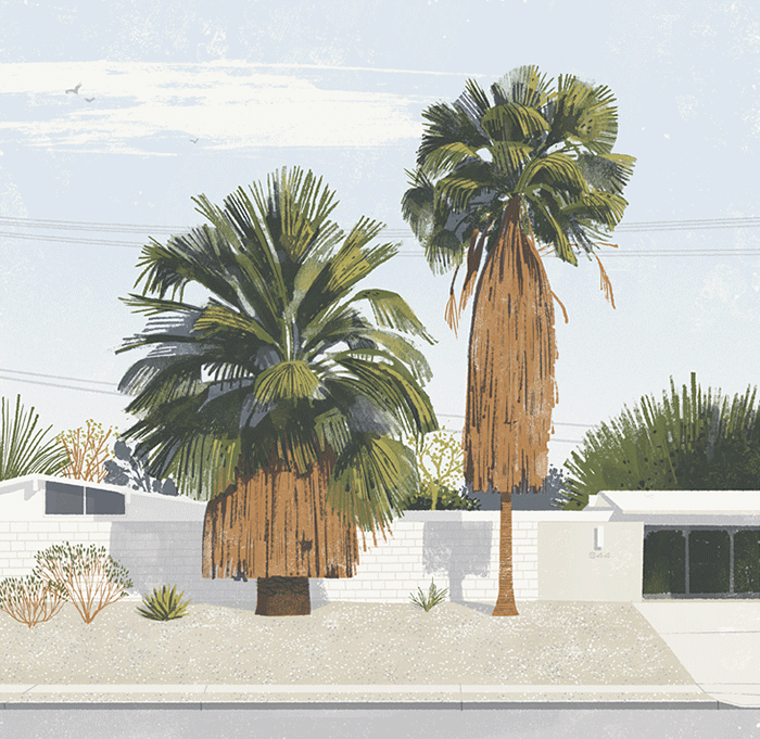two plams by Chris Turnham 2 palmiers illustration Chris Turnham