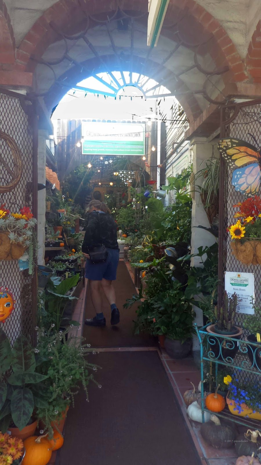 Looking For Plant Shops On Our Trip