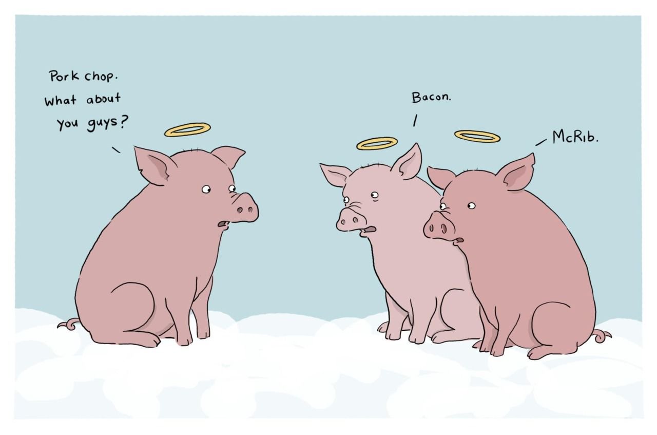 Pig Jokes » What'Up Now