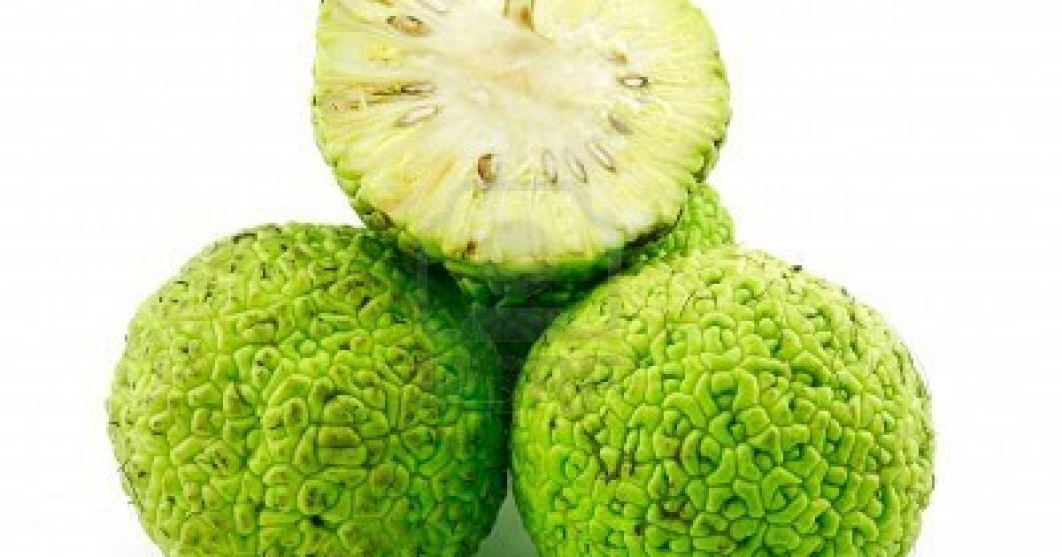 Hedge Apples Fruit Benefit guides