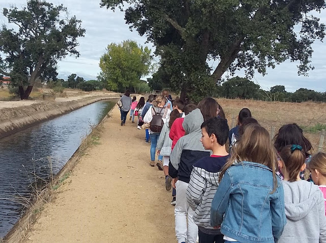 Museu Benavente Museu Benavente