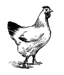 https://3.bp.blogspot.com/-b2PjePu-5Ww/V4q3OBLTj3I/AAAAAAAAcms/8tlkcd24daIPS97GtPTrAtBA0Ka9UQ3nQCLcB/s320/bird-chicken-animal-illustration.jpg