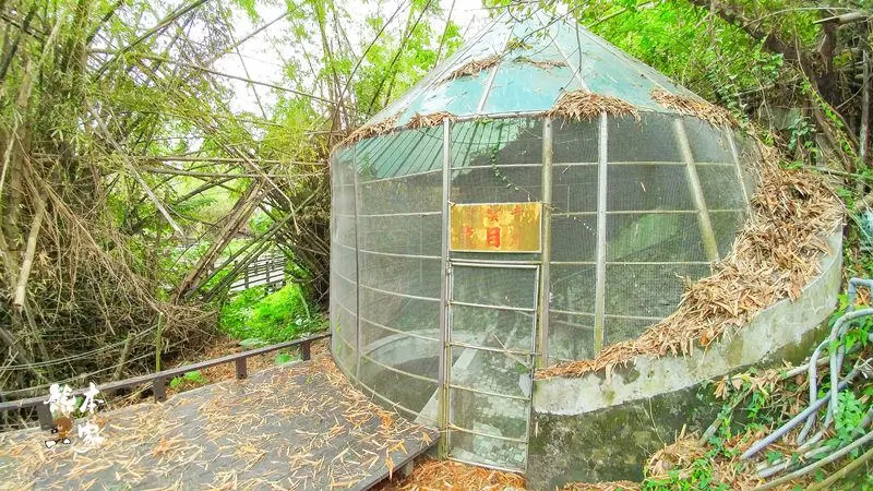 小琉球IG景點|竹林生態濕地公園|碧雲寺~有日本嵐山竹林的fu