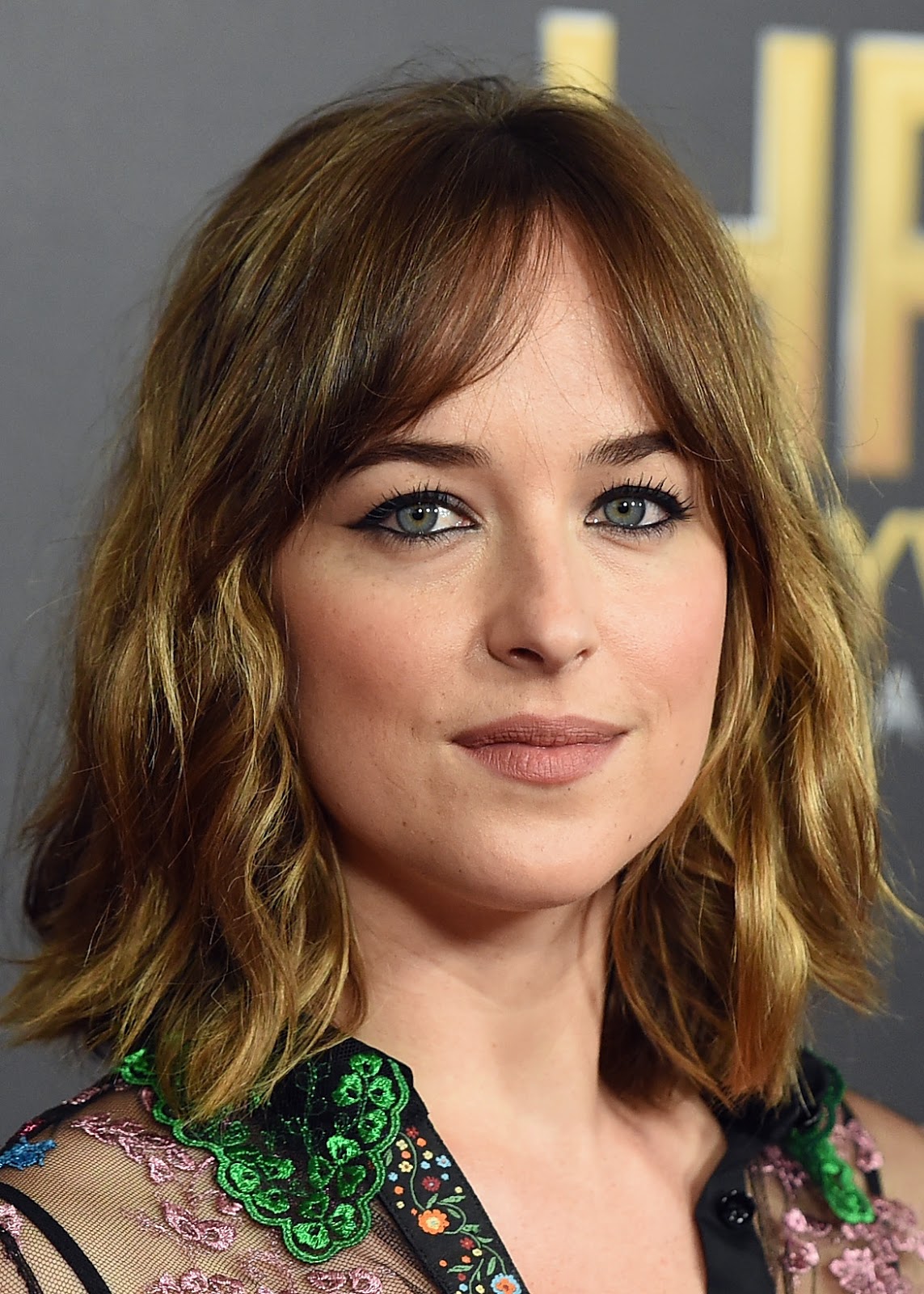 Fifty Shades Updates: HQ PHOTOS: Dakota Johnson attends the Hollywood ...