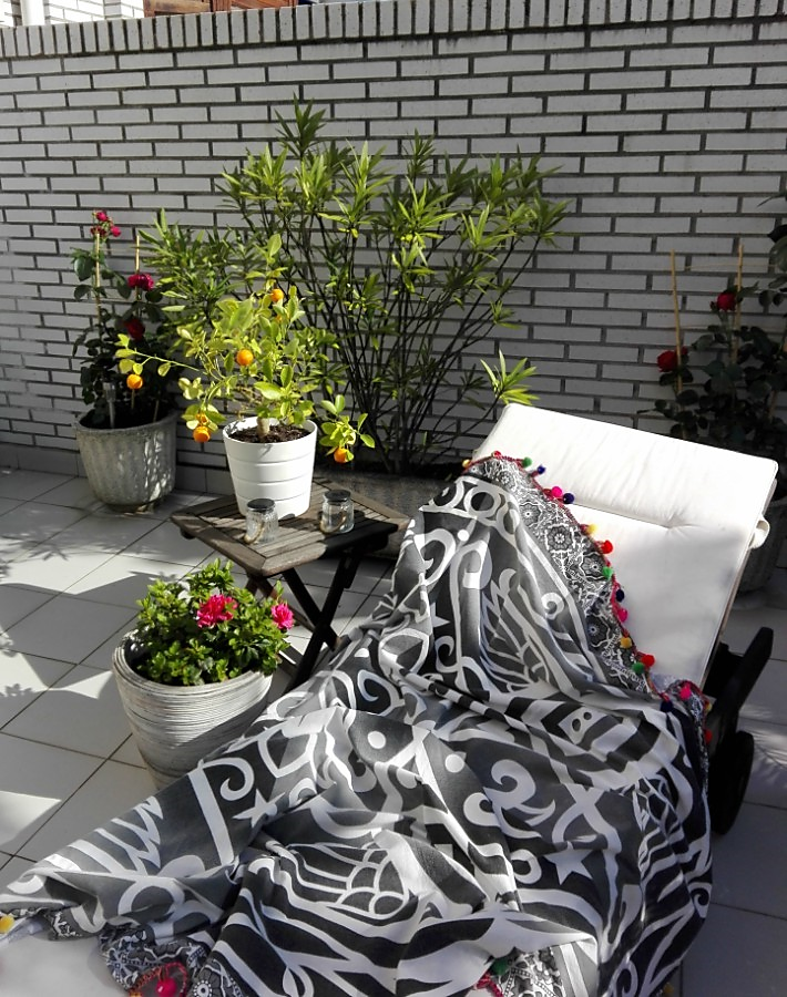 Todo lo que debes saber sobre los rosales