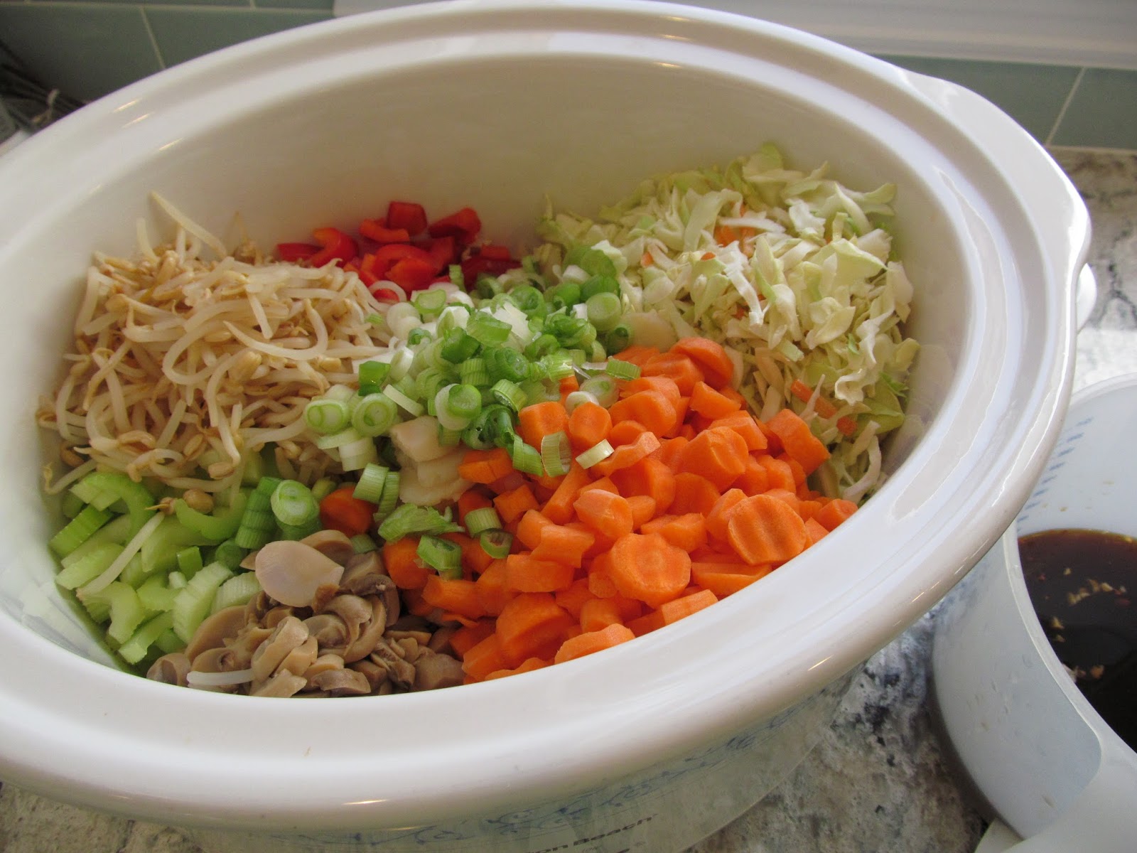 Savings for Sisters Recipe SlowCooker Chicken Chow Mein